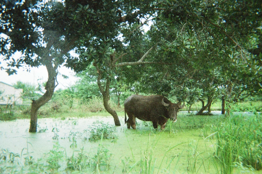 Premiere “Gli strumenti della solitudine” di Mirko Vercelli il 4 dicembre al Cineteatro Baretti di Torino